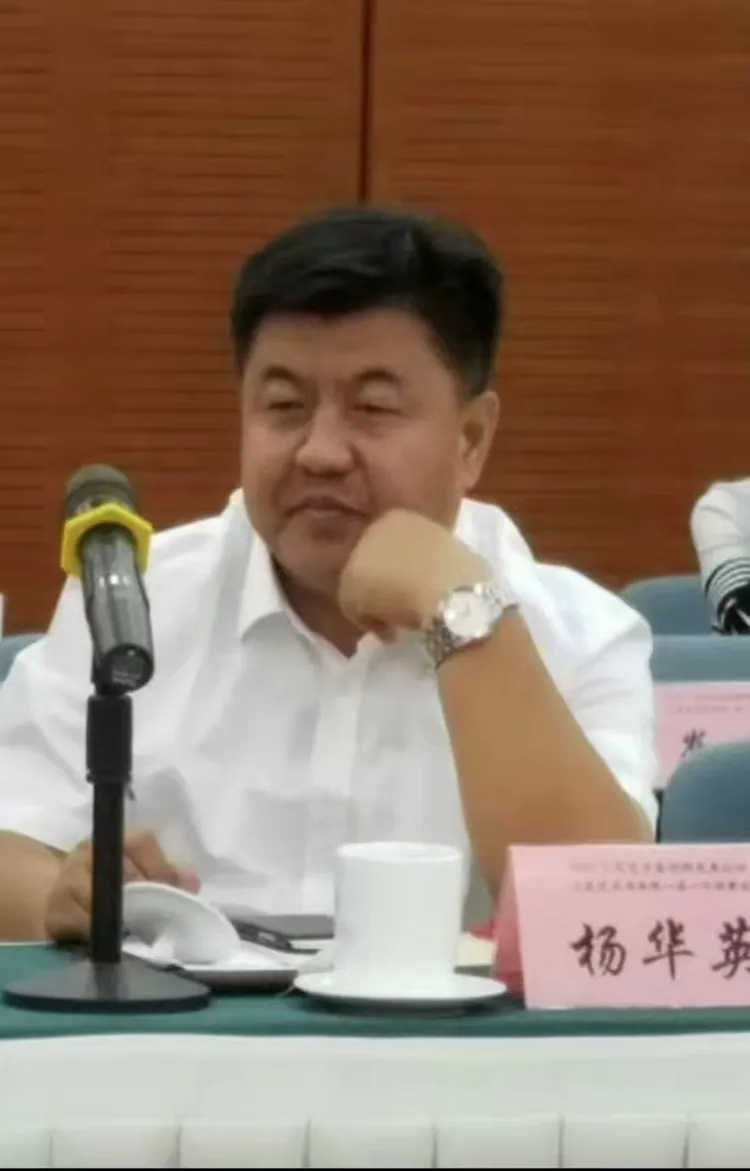 杨华英——名人百科